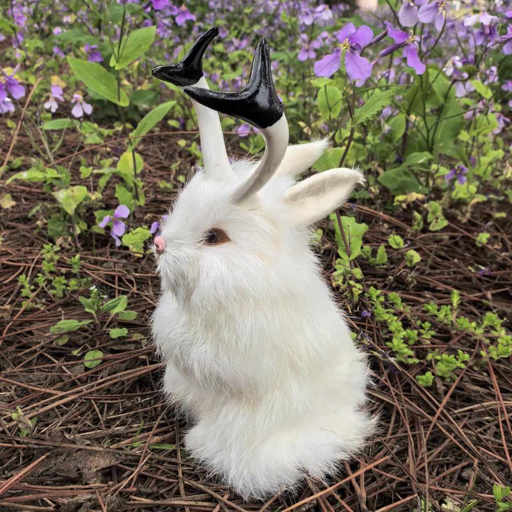 Amazon.com: FlyEgg 4 Color~Replica Jackalope Rabbit with